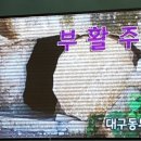 2021-주164 이미지