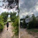 아이-정원 | 울산 동구 동물의 정원 방문 후기 | 아이와 함께 즐기는 동물 체험 공간