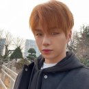 용인스타일 이미지