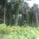 골드캐슬펜션 이미지