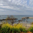 흰날개민박 이미지