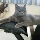 허숙희네 이미지