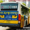 주정차51 이미지