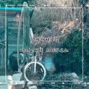 관심1길-2 | [미즈노씨네 트리하우스] 김제카페 INFP 내향인 지브리감성 카페 내돈내산 솔직 후기🫨