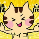 실용 일본어 이미지