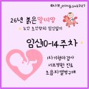 서울유산부인과의원 | 임신일기]임신10-14주차 서브병원 평택서울유산부인과1차기형아검사 육오빠초음파앨범