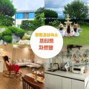병산1리 | [공지] 양평신축펜션 서울근교데이트코스 감성숙소 프티트자르뎅