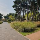 마곡하늬근린공원 이미지