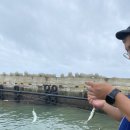 속닥거림펜션 | 21.08.23(월) _신산포구낚시, 성산하나로마트, 컨트리팜펜션