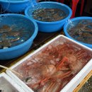 묵호시장 대게 맛집 청일호 후기｜동해 묵호항에서 먹은 살 꽉 찬 홍게&대게