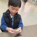 나비약국 | 스타필드 안성 유튜버 다흑 나비생태관 팝업스토어 아이랑 주말 방문한 후기