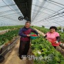 동해시-53 이미지