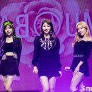 블로썸,유(Blossom,You)