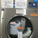 새하얀운동화빨래방 이미지