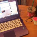 도토리펫샵 이미지