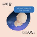 (주)조이버스 | [임신 30주-31주] 아기 카시트 조이 아이스핀 360 카시트 구매 및 임신 후기 컨디션 &amp; 신생아 옷 준비 팁