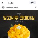 시루 Daum카페