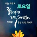 유레카(eureka) 이미지