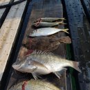 돌산해양낚시공원낚시터 이미지