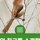 갈매기둥지
