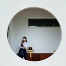 경충대로 2080 | 논뷰와 글루텐프리 그리고 감성 소품까지 이천 힐링 카페 진리