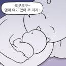 주식회사한솔나무병원 | 인테리어 기록 - 베스띠 벽지 추천, 인테리어 필름 포그 그레이 조합, 인조대리석 오로라 비스크