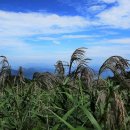 하늘정원 이미지