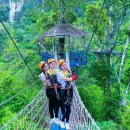 모바일로 떠나는 특별한 자유여행과 사진 (1) 이미지