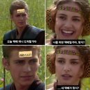 거창 동네방네 | 신생아 젖병 추천, 직접 써보고 모브아를 선택한 이유