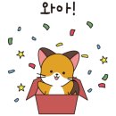 마우이보일링크랩
