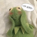 꿈꾸는 바다 이미지