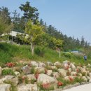 진도산새소리
