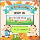 젤미뉴 이미지
