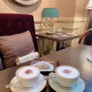 허브지노 이미지