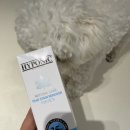 밥풀이 | 강아지 눈물자국 제거제 내돈내산 후기 | 밥풀이 눈물 관리 시작 🐶✨