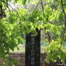 장원한 정려각 이미지