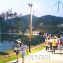 낭만오징어 이미지
