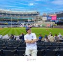 양키스치킨 | 뉴욕 여행 일정 양키스 MLB 야구 경기 직관 예약 자리 팁