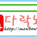 오딜리아 이미지