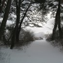 송하입구 이미지