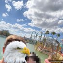 별바람 스튜디오 | [미국일상] 미국 플로리다 올랜도 유니버셜 스튜디오 후기 2탄 + 어트랙션 후기