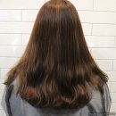 오헤어(oh! hair) | 오헤어 oh!hair :: 강남구청 미용실 오헤어에서 애쉬브라운 염색했어요! 대만족!