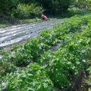 효림농장 이미지