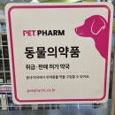 여의도동물약국 이미지