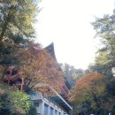 삼한엔지니어링 | [제천단양] 충북의 대표 내륙호수인 청풍호반, 깊은 산과 맑은 호수와 계곡이 아름다운 제천, 단양...