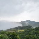 종교단체 자연장지 티스토리