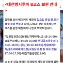 언택트세이프(A) | 대전 빵시투어 | 일정 시간 신청 예약방법 | 빵지순례 코스까지 완벽 정리
