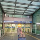 16주 임산부 일본 여행! (+오사카, 장어덮밥, 닌텐도 스토어, 도톤보리 거리, 오꼬노미야끼, 돈키호테)
