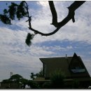 남강어탕 이미지