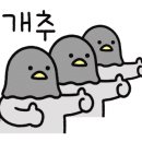 비씨지북스 이미지